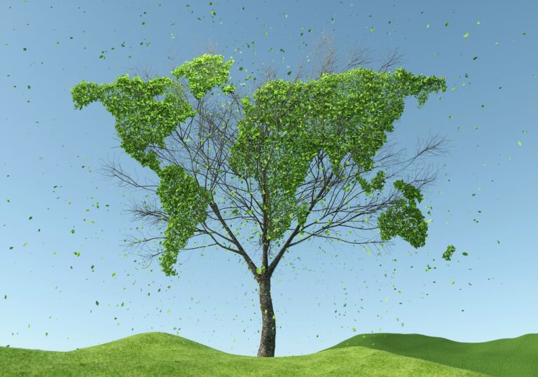tree, world map, sustainability-5591462.jpg